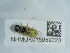  ( - NHMUK015059023)  @11 [ ] Unspecified (default): All Rights Reserved  Unspecified Unspecified