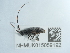  ( - NHMUK015059192)  @11 [ ] Unspecified (default): All Rights Reserved  Unspecified Unspecified