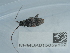  ( - NHMUK015059192)  @11 [ ] Unspecified (default): All Rights Reserved  Unspecified Unspecified