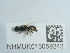  ( - NHMUK015059243)  @11 [ ] Unspecified (default): All Rights Reserved  Unspecified Unspecified