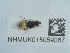  ( - NHMUK015059267)  @11 [ ] Unspecified (default): All Rights Reserved  Unspecified Unspecified
