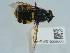  ( - NHMUK015059305)  @11 [ ] Unspecified (default): All Rights Reserved  Unspecified Unspecified