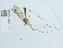  ( - NHMUK015059320)  @11 [ ] Unspecified (default): All Rights Reserved  Unspecified Unspecified