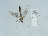  ( - NHMUK015059321)  @11 [ ] Unspecified (default): All Rights Reserved  Unspecified Unspecified