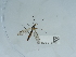 ( - NHMUK015059321)  @11 [ ] Unspecified (default): All Rights Reserved  Unspecified Unspecified