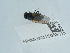  ( - NHMUK015059322)  @11 [ ] Unspecified (default): All Rights Reserved  Unspecified Unspecified