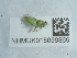  ( - NHMUK015059369)  @11 [ ] Unspecified (default): All Rights Reserved  Unspecified Unspecified