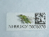  ( - NHMUK015059370)  @11 [ ] Unspecified (default): All Rights Reserved  Unspecified Unspecified