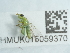  ( - NHMUK015059370)  @11 [ ] Unspecified (default): All Rights Reserved  Unspecified Unspecified