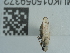  ( - NHMUK015059372)  @11 [ ] Unspecified (default): All Rights Reserved  Unspecified Unspecified