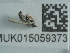  ( - NHMUK015059373)  @11 [ ] Unspecified (default): All Rights Reserved  Unspecified Unspecified