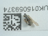  ( - NHMUK015059374)  @11 [ ] Unspecified (default): All Rights Reserved  Unspecified Unspecified
