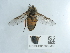  ( - NHMUK015059383)  @11 [ ] Unspecified (default): All Rights Reserved  Unspecified Unspecified