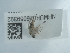  ( - NHMUK015059392)  @11 [ ] Unspecified (default): All Rights Reserved  Unspecified Unspecified