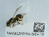  ( - NHMUK015059418)  @11 [ ] Unspecified (default): All Rights Reserved  Unspecified Unspecified