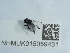  ( - NHMUK015059431)  @11 [ ] Unspecified (default): All Rights Reserved  Unspecified Unspecified