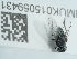  ( - NHMUK015059431)  @11 [ ] Unspecified (default): All Rights Reserved  Unspecified Unspecified