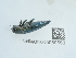  ( - NHMUK015059550)  @11 [ ] Unspecified (default): All Rights Reserved  Unspecified Unspecified