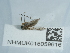  ( - NHMUK015059616)  @11 [ ] Unspecified (default): All Rights Reserved  Unspecified Unspecified