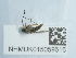  ( - NHMUK015059616)  @11 [ ] Unspecified (default): All Rights Reserved  Unspecified Unspecified