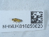  (Chlorops calceatus - NHMUK015059620)  @11 [ ] Unspecified (default): All Rights Reserved  Unspecified Unspecified