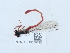  ( - NHMUK015059712)  @11 [ ] Unspecified (default): All Rights Reserved  Unspecified Unspecified
