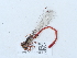  ( - NHMUK015059712)  @11 [ ] Unspecified (default): All Rights Reserved  Unspecified Unspecified