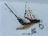  ( - NHMUK015059737)  @11 [ ] Unspecified (default): All Rights Reserved  Unspecified Unspecified