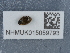 ( - NHMUK015059793)  @11 [ ] Unspecified (default): All Rights Reserved  Unspecified Unspecified