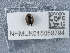  ( - NHMUK015059794)  @11 [ ] Unspecified (default): All Rights Reserved  Unspecified Unspecified