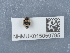  ( - NHMUK015059795)  @11 [ ] Unspecified (default): All Rights Reserved  Unspecified Unspecified