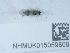  ( - NHMUK015059809)  @11 [ ] Unspecified (default): All Rights Reserved  Unspecified Unspecified