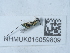  ( - NHMUK015059809)  @11 [ ] Unspecified (default): All Rights Reserved  Unspecified Unspecified