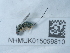  ( - NHMUK015059810)  @11 [ ] Unspecified (default): All Rights Reserved  Unspecified Unspecified