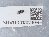  ( - NHMUK015059944)  @11 [ ] Unspecified (default): All Rights Reserved  Unspecified Unspecified