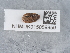  ( - NHMUK015059959)  @11 [ ] Unspecified (default): All Rights Reserved  Unspecified Unspecified