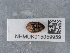  ( - NHMUK015059959)  @11 [ ] Unspecified (default): All Rights Reserved  Unspecified Unspecified
