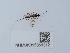  ( - NHMUK015060312)  @11 [ ] Unspecified (default): All Rights Reserved  Unspecified Unspecified