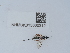  ( - NHMUK015060312)  @11 [ ] Unspecified (default): All Rights Reserved  Unspecified Unspecified