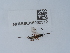  ( - NHMUK015060312)  @11 [ ] Unspecified (default): All Rights Reserved  Unspecified Unspecified