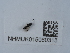  ( - NHMUK015060315)  @11 [ ] Unspecified (default): All Rights Reserved  Unspecified Unspecified