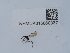  ( - NHMUK015060337)  @11 [ ] Unspecified (default): All Rights Reserved  Unspecified Unspecified