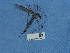  ( - NHMUK015060377)  @11 [ ] Unspecified (default): All Rights Reserved  Unspecified Unspecified