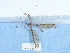  ( - NHMUK015060377)  @11 [ ] Unspecified (default): All Rights Reserved  Unspecified Unspecified