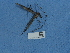  ( - NHMUK015060377)  @11 [ ] Unspecified (default): All Rights Reserved  Unspecified Unspecified