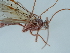  ( - NHMUK015060431)  @11 [ ] Unspecified (default): All Rights Reserved  Unspecified Unspecified
