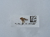  ( - NHMUK015060441)  @11 [ ] Unspecified (default): All Rights Reserved  Unspecified Unspecified