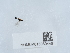  ( - NHMUK015060446)  @11 [ ] Unspecified (default): All Rights Reserved  Unspecified Unspecified