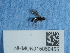  ( - NHMUK015060455)  @11 [ ] Unspecified (default): All Rights Reserved  Unspecified Unspecified