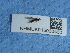  ( - NHMUK015060460)  @11 [ ] Unspecified (default): All Rights Reserved  Unspecified Unspecified